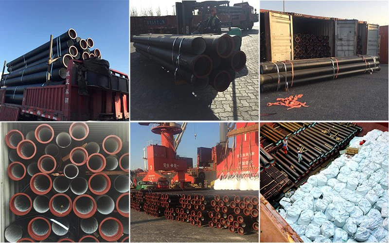 6efa4221a519574fe4e92a7658bcadf