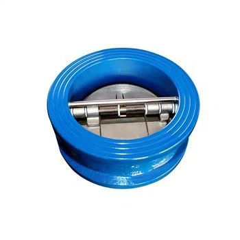 1/4"-2" Non-Return Ss Swing Check Valve